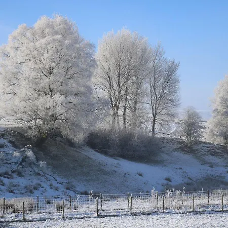 Macaw No 4a Apartamento