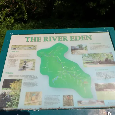 Macaw No 4a * Kirkby Stephen